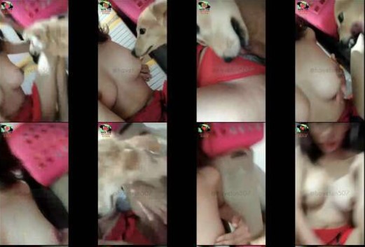 Viral Chessty Colmek Di Bantuin Anjingnya